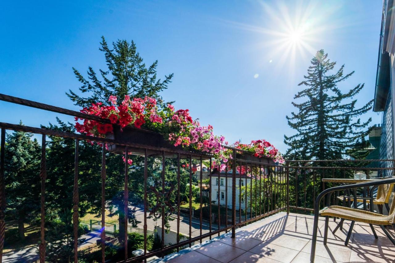 Villa Walir Mariánské Lázně المظهر الخارجي الصورة
